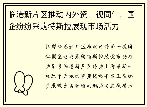 临港新片区推动内外资一视同仁，国企纷纷采购特斯拉展现市场活力